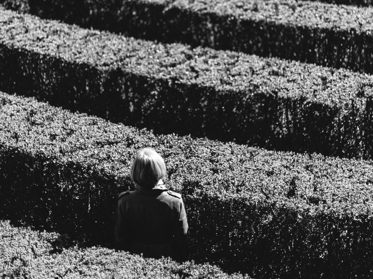Person lost in a hedge maze
